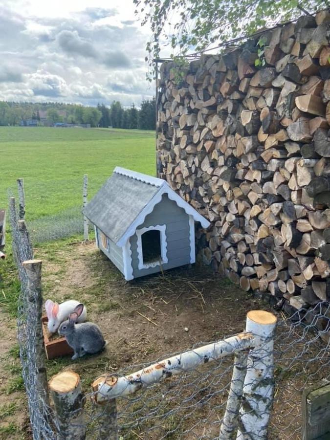 Domek Na Uboczu Gryfów Śląski Exterior foto