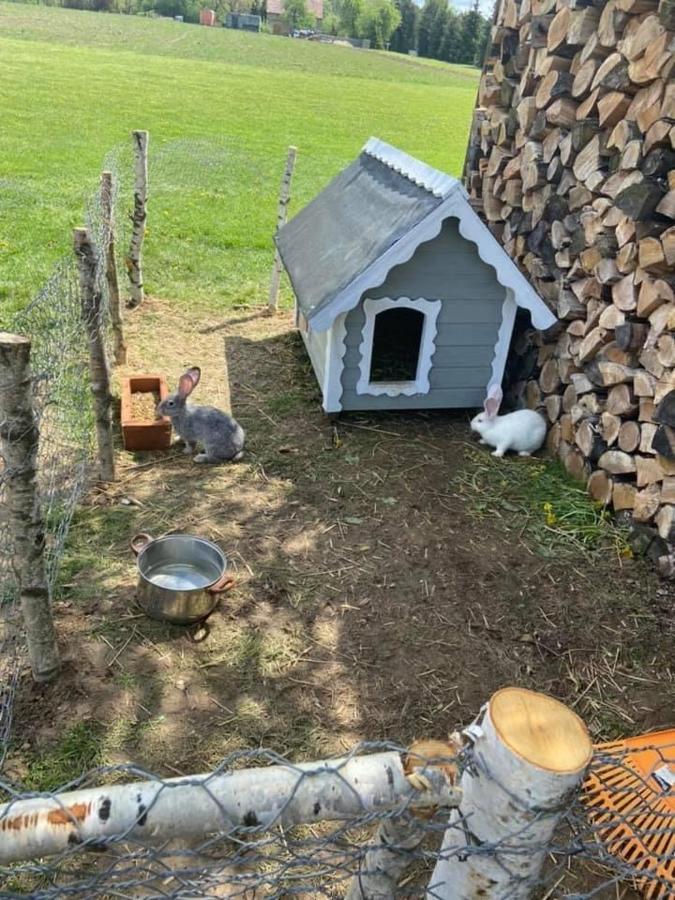 Domek Na Uboczu Gryfów Śląski Exterior foto